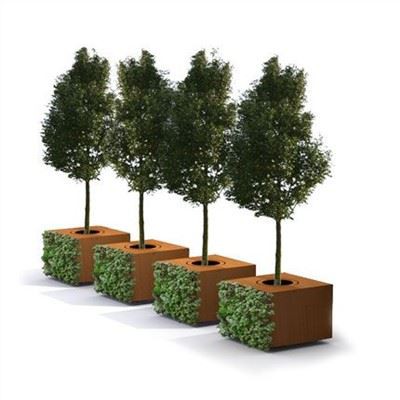 Đội bảo vệ cây xanh đô thị bằng thép