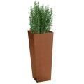 Commercial Metal Planters
