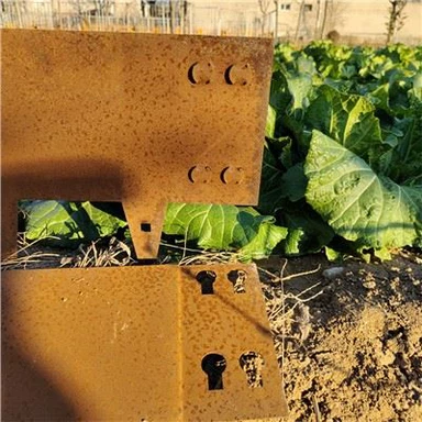 Cảnh quan lâu dài Edging cho bãi cỏ
