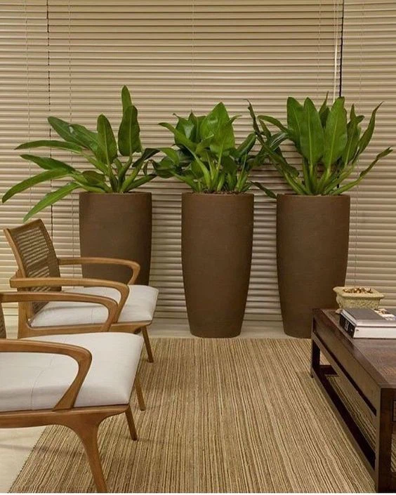 Custom Steel Planters manufacturers