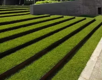 Garden Lawn Retaining Board