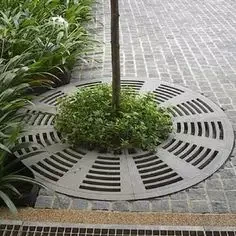 Protecting Trees