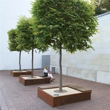 Chậu thép Corten lớn cho nghệ thuật sân vườn