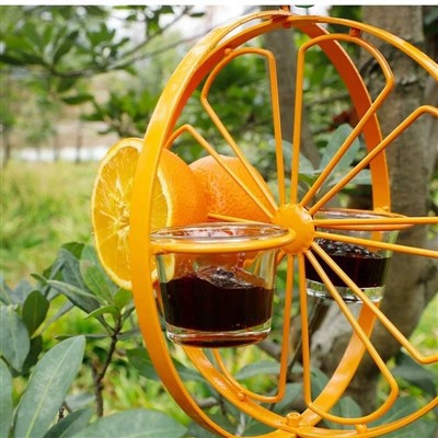 Khay chim ngoài trời